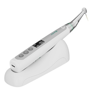 Endomotor fara perii BR Touch Perfect Dental