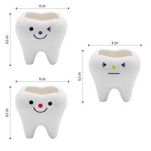 Dimensiuni ghiveci decorativ mini in forma de dinte WJ-022