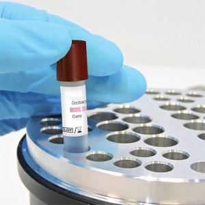 Indicator Biologic Sterilizare BT20 24Hours