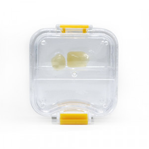 Cutie membrana transport lucrari protetice mici inchisa