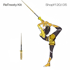 Ace Rotative Re Treaty Kit NiTi Perfect