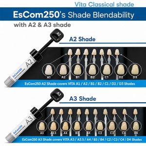 Kit EsCom 250 Spident Syringe