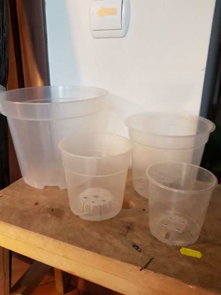 Ghiveci transparent 12 cm