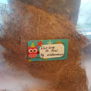 Long Coconut Fiber - Fibre de cocos lungi