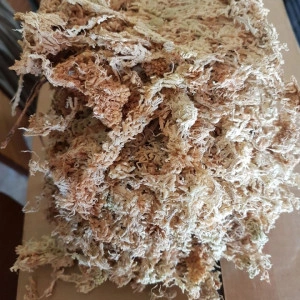 Muschi Spagmoss Classic 50g - Img 2