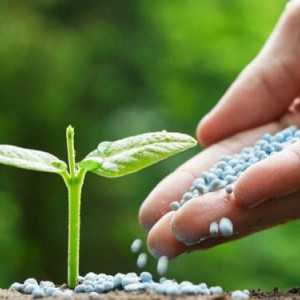 Fertilizant PP diverse NPK