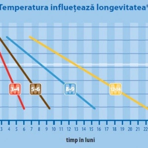 Fertilizant cu eliberare prelungita 8-9 luni OSMOCOTE Exact - Img 3