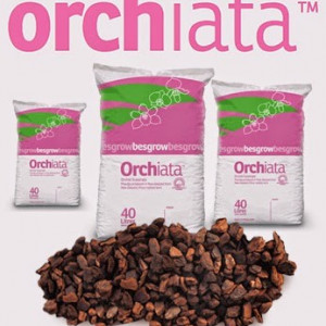ORCHIATA Power+ 5L