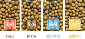 Fertilizant cu eliberare prelungita 8-9 luni OSMOCOTE Exact - Img 4