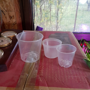 Ghiveci transparent pentru orhidee, diametru 6cm