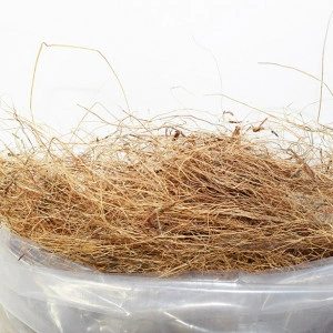 Long Coconut Fiber - Fibre de cocos lungi - Img 2