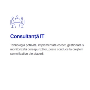 Consultanță IT - Img 2