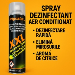 Spray Dezinfectare Aer Condiționat – Aromă Citrice, 750 ml