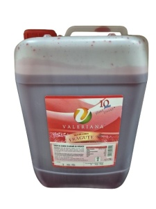 Gyümölcsös szirup granita adagolóhoz, Valerian, FRAGUTE, 5L