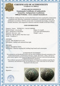 TERICUS I ( 273-274 AD ) - GALLIC EMPIRE - Img 3