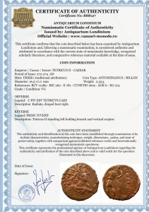 TETRICUS II - CAESAR (272-274 AD ) - TRIER - Moneda Antica IMPERIUL GALLIC - Img 3