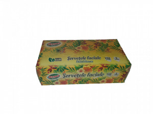 Univerzális papírzsebkendő készlet, 2 rétegű, kartondoboz adagolóval, 100% cellulóz, Royal - Img 2
