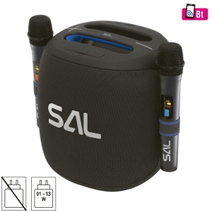 Hordozható hangszóró Boombox, 2 mikrofon, bluetooth, usb, kártya, vízálló, 100W, SAL PARCUBE