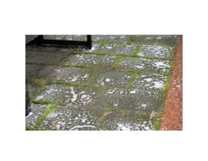 Professzionális megoldás járdák, beton, külső falak tisztítására, koncentrált, eltávolítja a gombákat, mohát, algákat és zuzmót, pH8, 1L, 1 liter, Tenzi Topefekt MOSS - Img 2