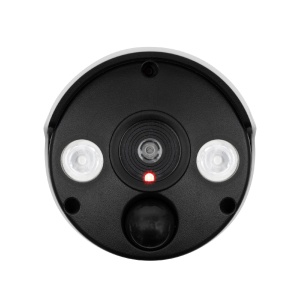 Camera falsa de exterior cu lampa - Img 3