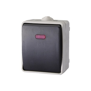 AQUATOP, comutator pe perete, IP 54 gri