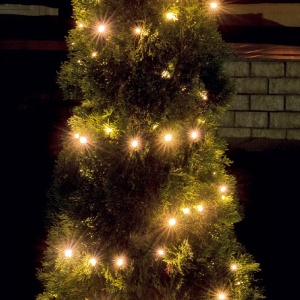 Ghirlanda cu LED-uri - Img 2
