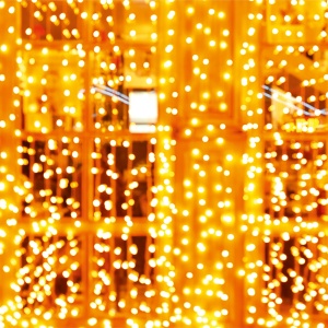 Perdea de lumini DOT LED, 2x 2 m, alb, cald