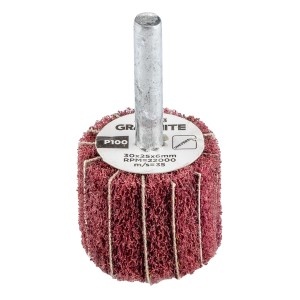 Roata lamelara 30 x 25 x 6 mm, P100