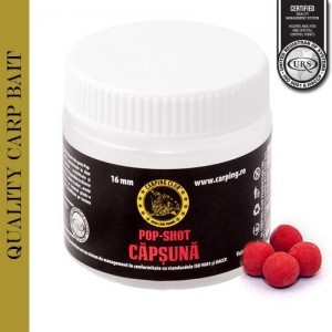 Momeala atractiva pescuit Pop-up capsuna 2-25 mm, 25gr, CRP