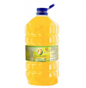 Szirup határadagolóhoz, Valerian, citrom, 5L