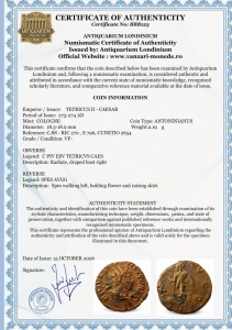 TETRICUS II - CAESAR ( 273-274 AD ) - TRIER - Moneda Antica - IMPERIUL GALLIC - Img 3