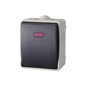 AQUATOP, comutator pe perete, IP 54 gri
