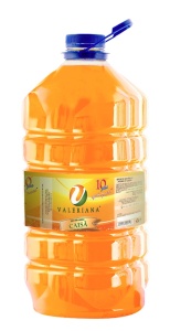 Gyümölcsös szirup granita adagolóhoz, Valerian, Caise, 5L