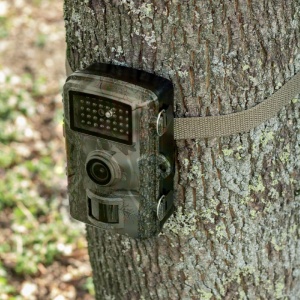 Camera supraveghere animale salbatice, FULL HD, 38 led infrarosu, detectie miscare, time lapse, manual, Home - Img 4