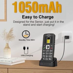 Telefon mobil de buget pentru seniori, cifre mari, sunet puternic, USB-C, ecran LCD COLOR, statie incarcare, Easyfone Prime A6 4G - Img 6