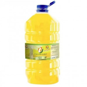 Szirup granita adagolóhoz, Valerian, bodza, 5L