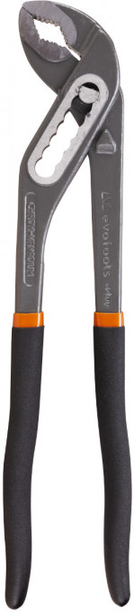 Cleste Papagal Plus