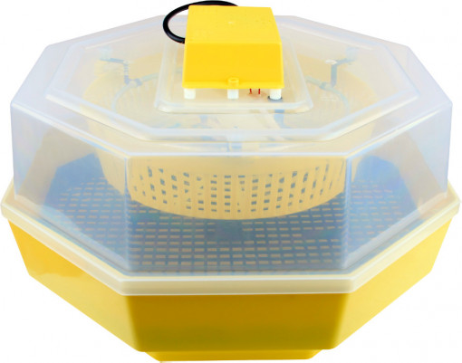 Incubator Electric Cleo 5