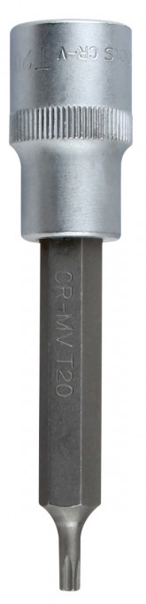 Capete Torx