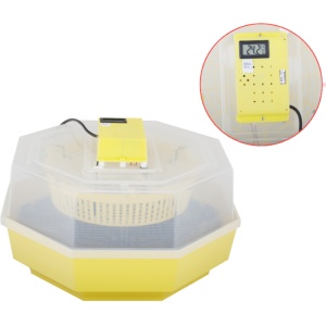 Incubator Electric Cleo-5 cu Termometru