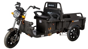 Triciclu Electric Cargo Praslea TRCC800