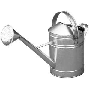 Stropitoare Zincata / V[l]: 10