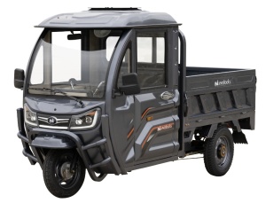 Triciclu Electric Cargo Cabina Inchisa Voinicu TRCB1500