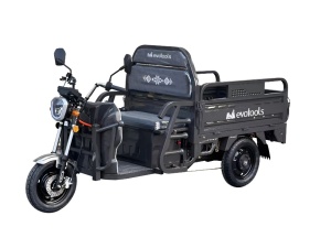 Triciclu Electric Cargo Balaur TRCC1000