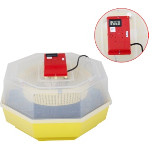 Incubator Electric Cleo-5 cu Termohigrometru