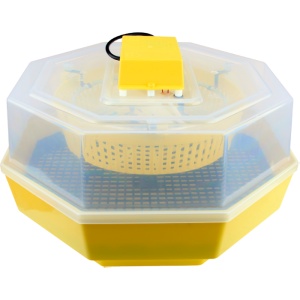 Incubator Electric Cleo 5