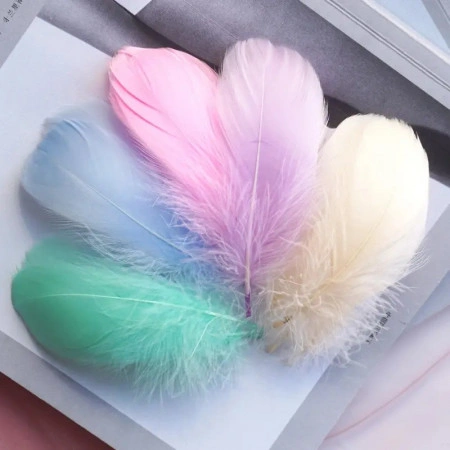 Multicolored Decorative Feathers, Goose, 6x12cm (100 pieces/set) - Img 1