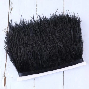 Banda pene strut, Negru