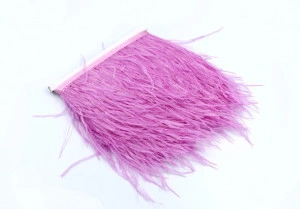 Ostrich Feathers Tape, Pink - Img 2