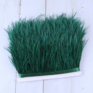 Banda pene strut, Verde Imperial